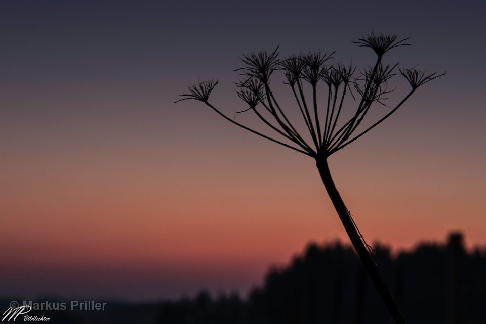 2014.03.13 210445 Sonnenuntergang Schwaltenweiher-3000t